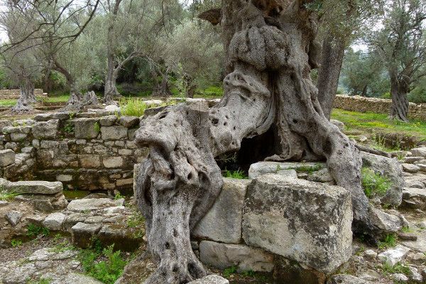 eleftherna rethymno kreta