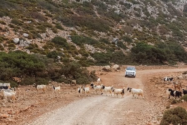 Rodopou Halbinsel Chania Kreta